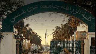 زراعة عين شمس ضمن أفضل 100 كلية عالميًا في تصنيف شنغهاي 2026