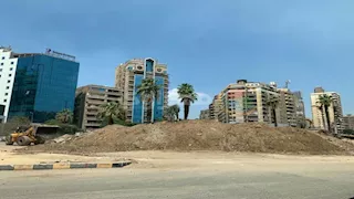 لماذا قُطعت أشجار جامعة الدول بدلًا من نقلها؟ مصدر يكشف تفاصيل جديدة