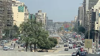 من الميرلاند إلى جامعة الدول.. أشهر مذابح الأشجار بالقاهرة الكبرى