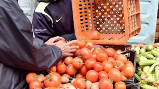 بعد الارتفاع الكبير.. أسعار الطماطم تتراجع بنحو 10 جنيهات للكيلو بالأسواق