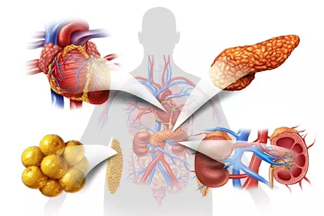 علاج مرض التمثيل الغذائي- 5 عادات افعلها في الصباح للشفاء     