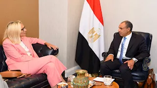 وزير الخارجية يؤكد ضرورة تنفيذ خطة غزة والحفاظ على وحدة الأراضي الفلسطينية