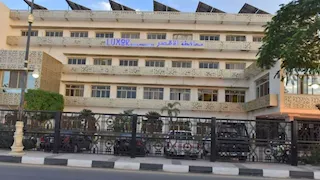 حاويات 240 لترًا.. محافظ الأقصر يلزم المحال التجارية بضوابط جديدة لجمع المخلفات
