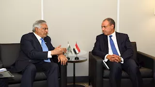 وزير الخارجية: تفعيل مجلس الأعمال المصري الباكستاني يدعم زيادة الاستثمارات في مصر