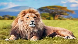 20 صورة لأغرب 9  حيوانات قد تأكل صغارها