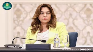 مواد كيماوية.. التنمية المحلية تتحفظ على سفينة تسببت في روائح غازية بميناء الدخيلة بالإسكندرية