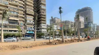 أحدث صور ترصد شارع جامعة الدول العربية بعد بدء التشجير