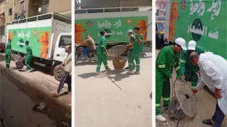 الدقهلية تشن حملة لجمع الكلاب الضالة من الشوارع -صور 