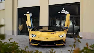 "مش هدايا للعريس".. حكاية السيارات البورش واللامبورجيني في فرح مطروح - فيديو وصور