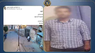 ضبط عامل رشق سيدة بالحجارة ونشر صورها للتشهير بالبحيرة