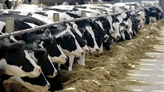 دعم صغار المربين.. الزراعة تمنح موافقات لـ28 مشروعًا جديدًا