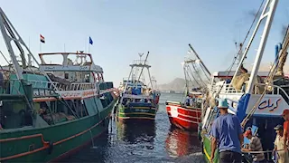بالأرقام والتفاصيل.. رحلة "سمك السويس" من قاع الخليج إلى حلقات البيع -صور