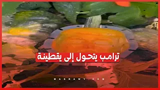 قبل الهالوين.. مزارع أميركي يحول ترامب إلى يقطينة