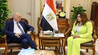 وزيرة التنمية المحلية تبحث مع وزير إيطالي تعزيز التعاون البيئي والمناخي