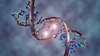 لماذا يختلف الإخوة عن بعضهم؟.. دراسة تكشف مفاجأة في تكوين الحيوانات المنوية