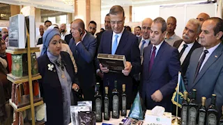 وزير الزراعة: إنتاج مصر من الدواجن يصل إلى 1.6 مليار طائر