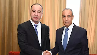 وزير الخارجية يؤكد دعم مصر لوحدة ليبيا وسيادتها وسلامة أراضيها واستقرارها