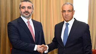 وزير الخارجية يؤكد دعم مصر لوحدة سوريا وسيادتها