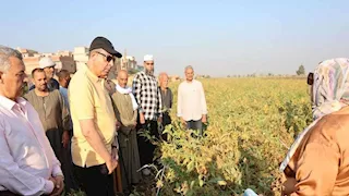 عُمدة المحاصيل الزيتية.. محافظ المنيا يشهد حصاد ودراس فول الصويا -صور